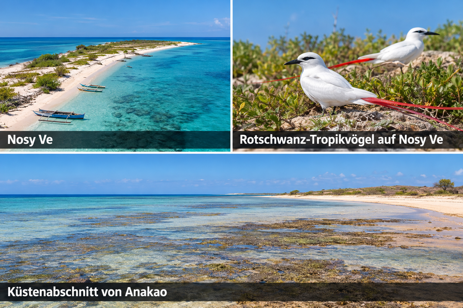 Bildcollage: Die schönsten Sehenswürdigkeiten in Anakao