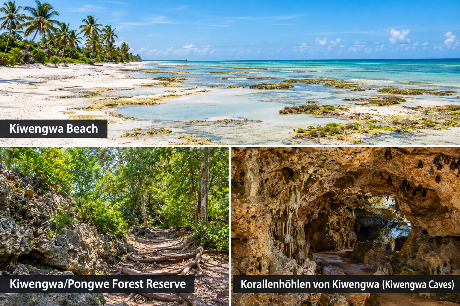 Bildcollage: Die schönsten Sehenswürdigkeiten in Kiwengwa