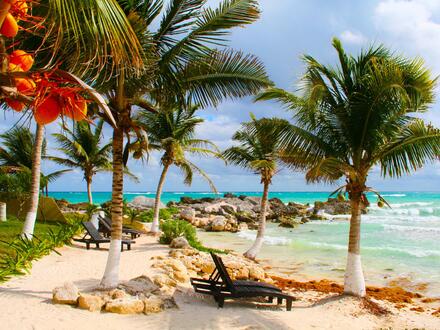 16 Tage Rundreisen Südafrika & Mauritius: Vom Safari-Abenteuer ins Inselparadies