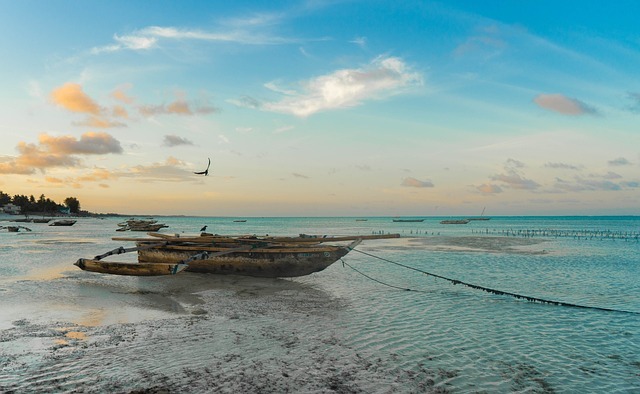 Die schönsten Strände in Afrika: Eine Reise zu den paradiesischen Küsten