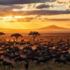great migration serengeti