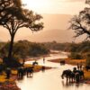 luangwa river