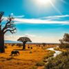ruaha nationalpark