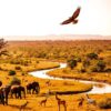south luangwa national park