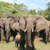 Big Five, Beach Vibes und Berggipfel