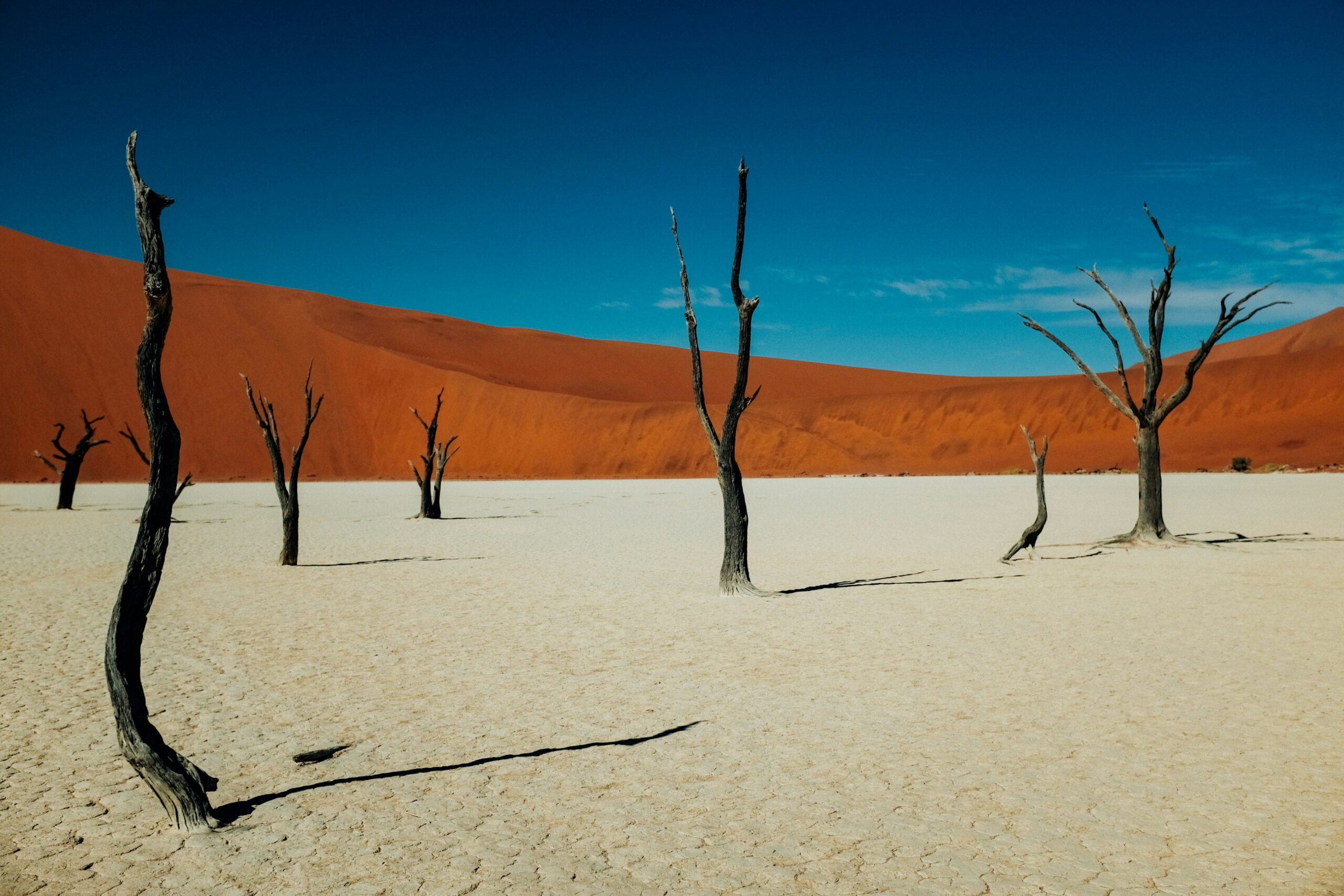 Wie Namibia still und leise eines der besten Reiseerlebnisse Afrikas bietet