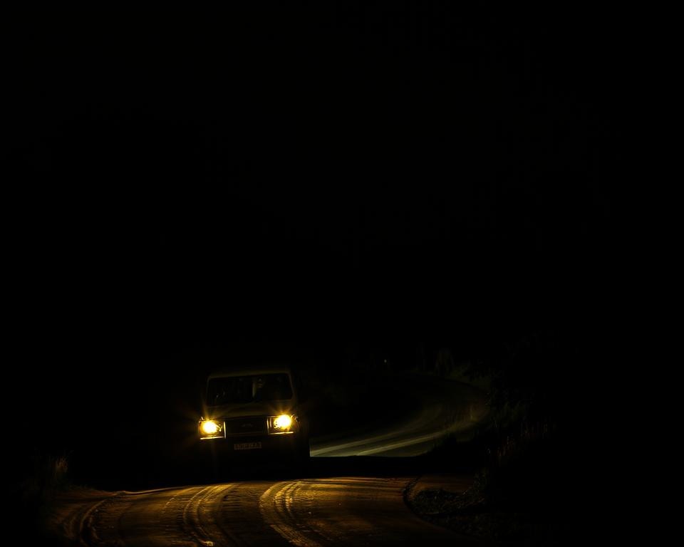 Night Drive Tierbeobachtungen Night Drive Tierbeobachtungen