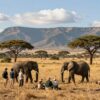 Was man bei einer 2 Wochen Afrikarundreise nicht verpassen sollte