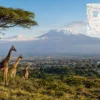 Reiseziel mit Lagekarte in Arusha, Afrika
