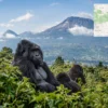 Reiseziel mit Lagekarte in Musanze, Afrika
