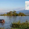 Reiseziel mit Lagekarte in Naivasha, Afrika