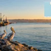 Reiseziel mit Lagekarte in Walvis Bay, Afrika