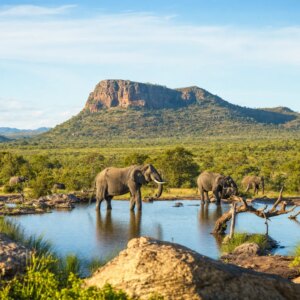 14 Tage Rundreisen Südafrika, Botswana & Simbabwe: Länder-Hüpfen im südlichen Afrika Unkategorisiert online kaufen
