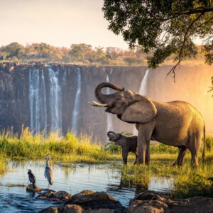 20 Tage Rundreisen Südafrika, Mosambik, Botswana & Simbabwe: Vier Länder voller unvergesslicher Momente Unkategorisiert online kaufen