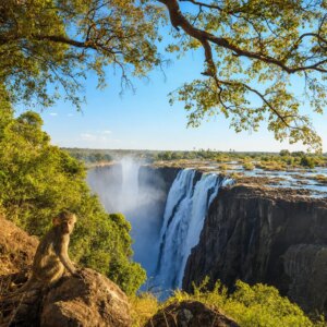 16 Tage Rundreisen Südafrika & Simbabwe: Wenn Safari auf tosende Wasserfälle trifft Unkategorisiert online kaufen 16 Tage Rundreisen Südafrika & Simbabwe: Wenn Safari auf tosende Wasserfälle trifft Unkategorisiert online kaufen